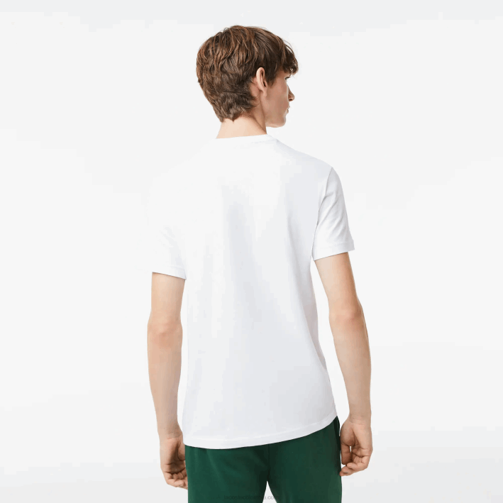 hombres Lacoste 6F24106 blanco 001 camiseta de corte regular