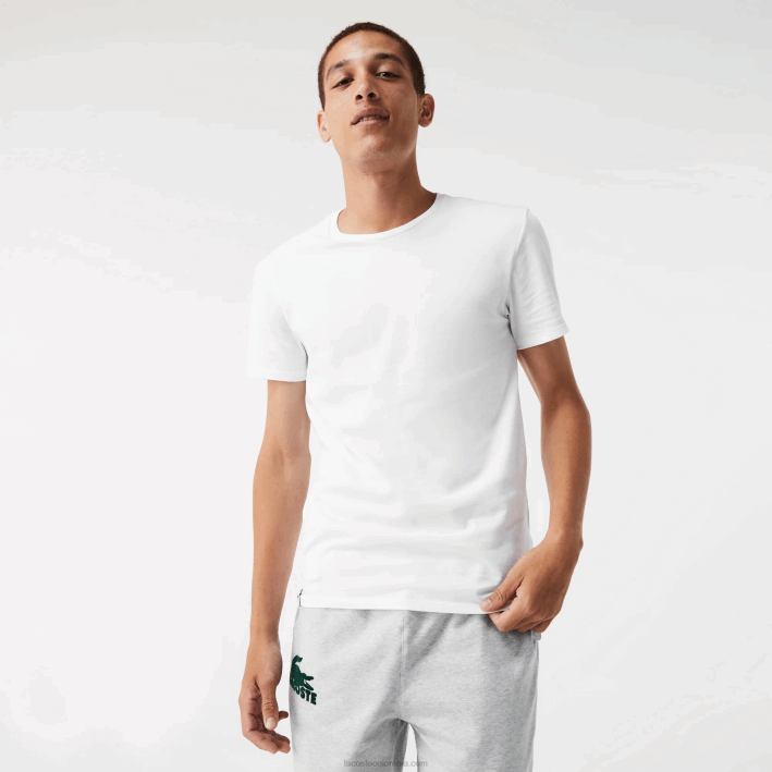 hombres Lacoste 6F241349 blanco gris lomo negro bxy Pack de 3 camisetas de algodón con cuello redondo