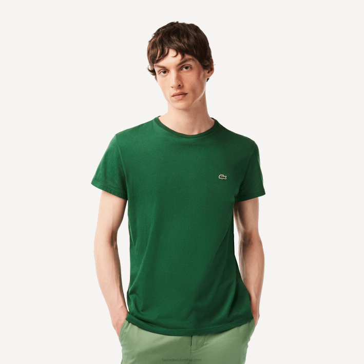 hombres Lacoste 6F24618 verde 132 camiseta de punto de algodón pima con cuello redondo
