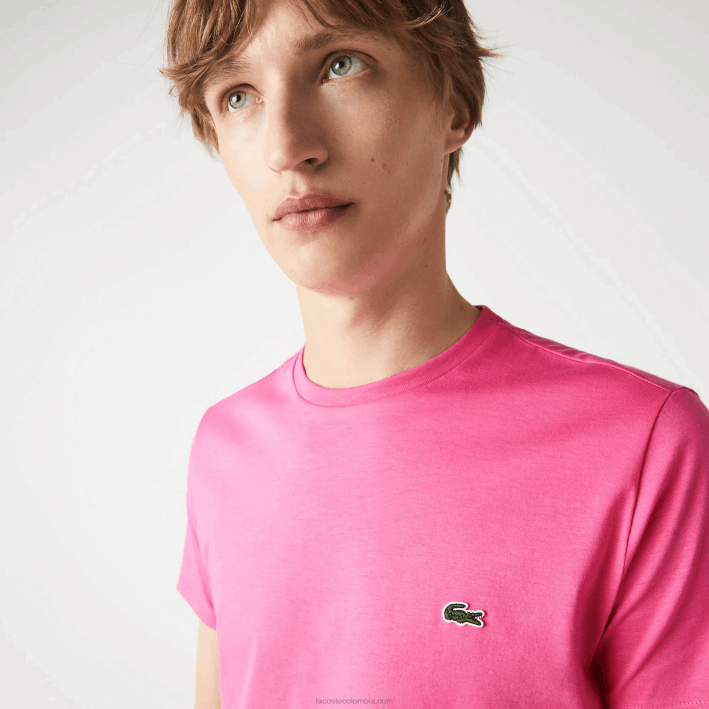 hombres Lacoste 6F24874 pq rosa camiseta de punto de algodón pima con cuello redondo
