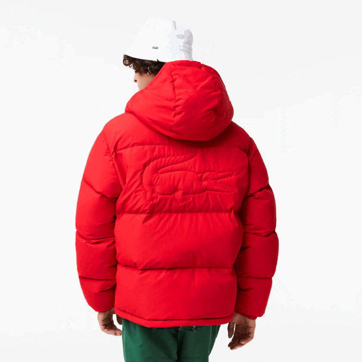 hombres Lacoste 6F241212 rojo 240 chamarra acolchada repelente al agua
