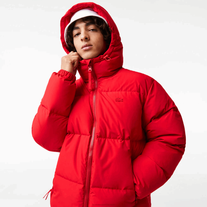 hombres Lacoste 6F241212 rojo 240 chamarra acolchada repelente al agua