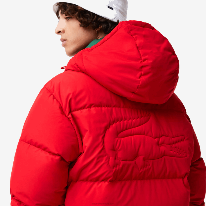 hombres Lacoste 6F241212 rojo 240 chamarra acolchada repelente al agua