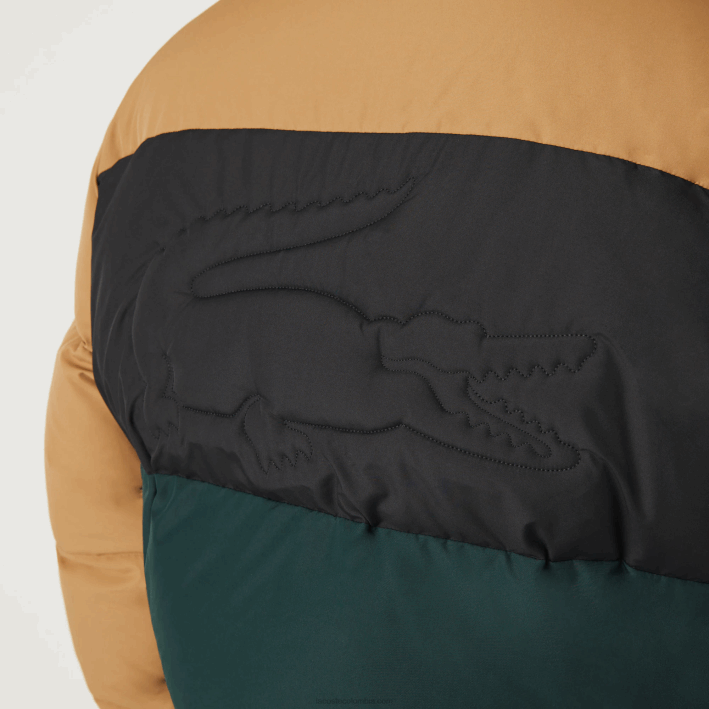hombres Lacoste 6F241227 marrón negro verde tpv chaqueta acolchada repelente al agua con bloques de color