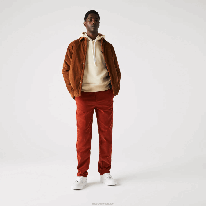 hombres Lacoste 6F241643 marrón ql2 pantalones rectos de pana
