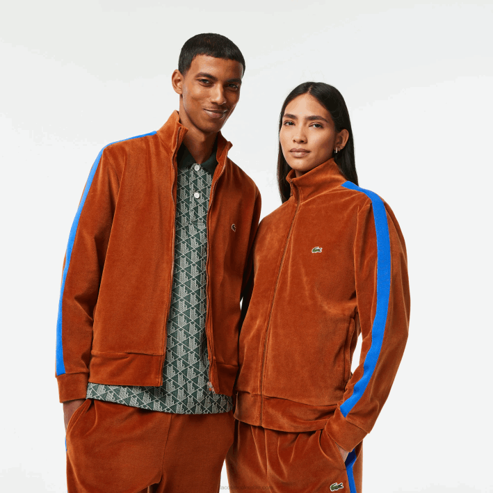 hombres Lacoste 6F241117 marrón 3pb sudadera regular fit de terciopelo con cremallera