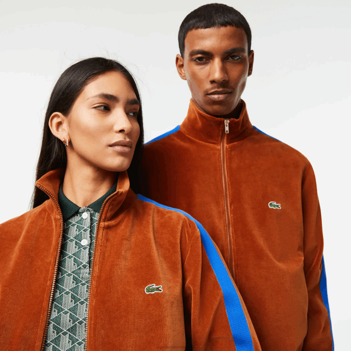 hombres Lacoste 6F241117 marrón 3pb sudadera regular fit de terciopelo con cremallera