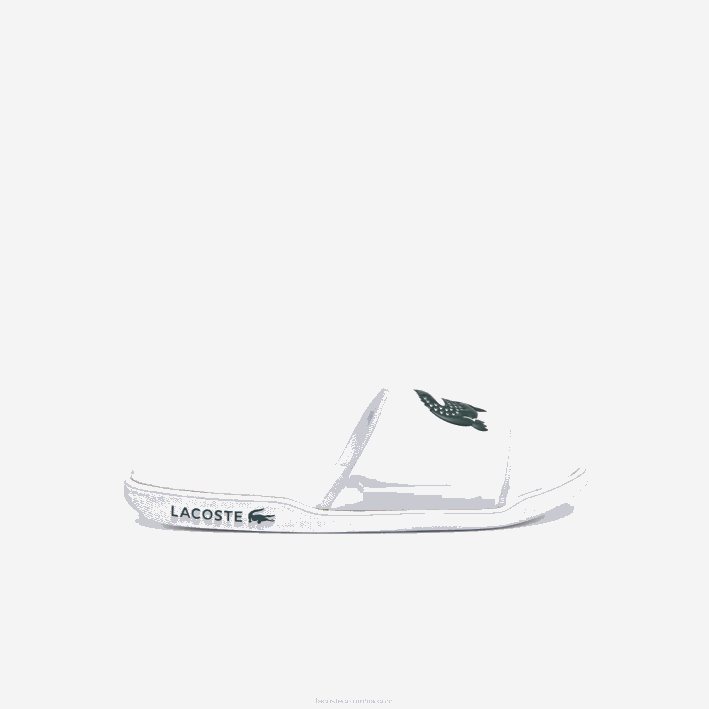 blanco y verde oscuro 1r5