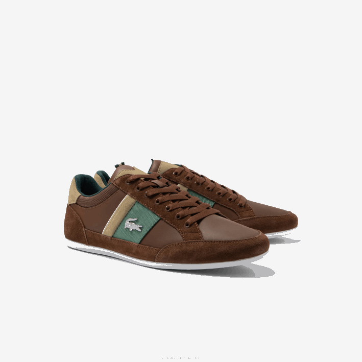 hombres Lacoste 6F241736 marron verde oscuro 2a1 zapatillas chaymon de piel
