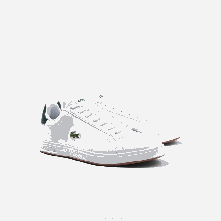 hombres Lacoste 6F241910 blanco y verde oscuro 1r5 tenis Graduate Pro de piel