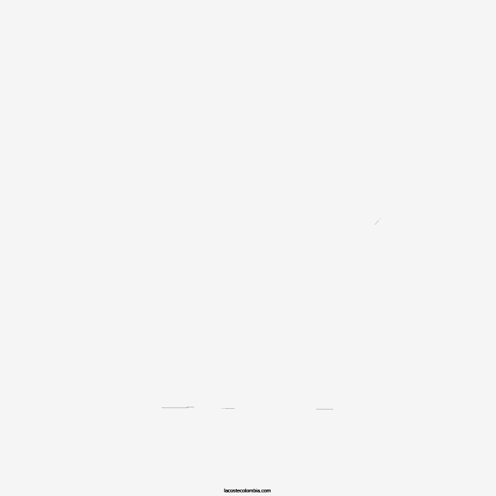 niños Lacoste 6F243000 blanco 001 polo de petit piqué regular fit