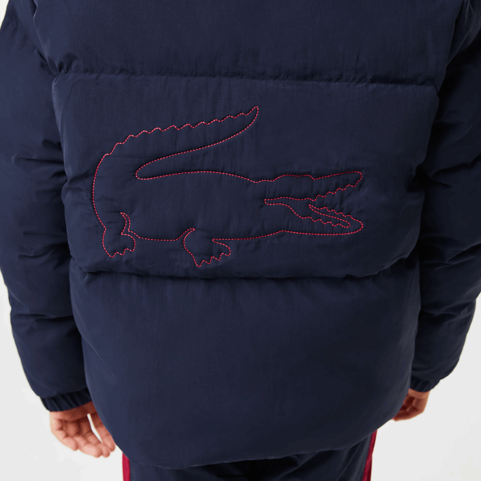 niños Lacoste 6F243221 azul marino rojo 7pe chamarra de tafetán con capucha y bordado de cocodrilo