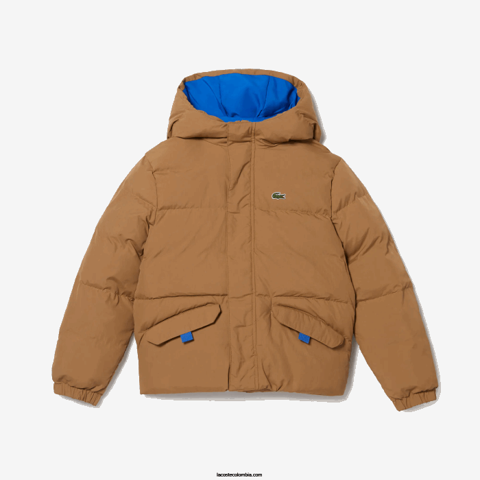 niños Lacoste 6F243222 marrón azul 9fg chamarra de tafetán con capucha y bordado de cocodrilo